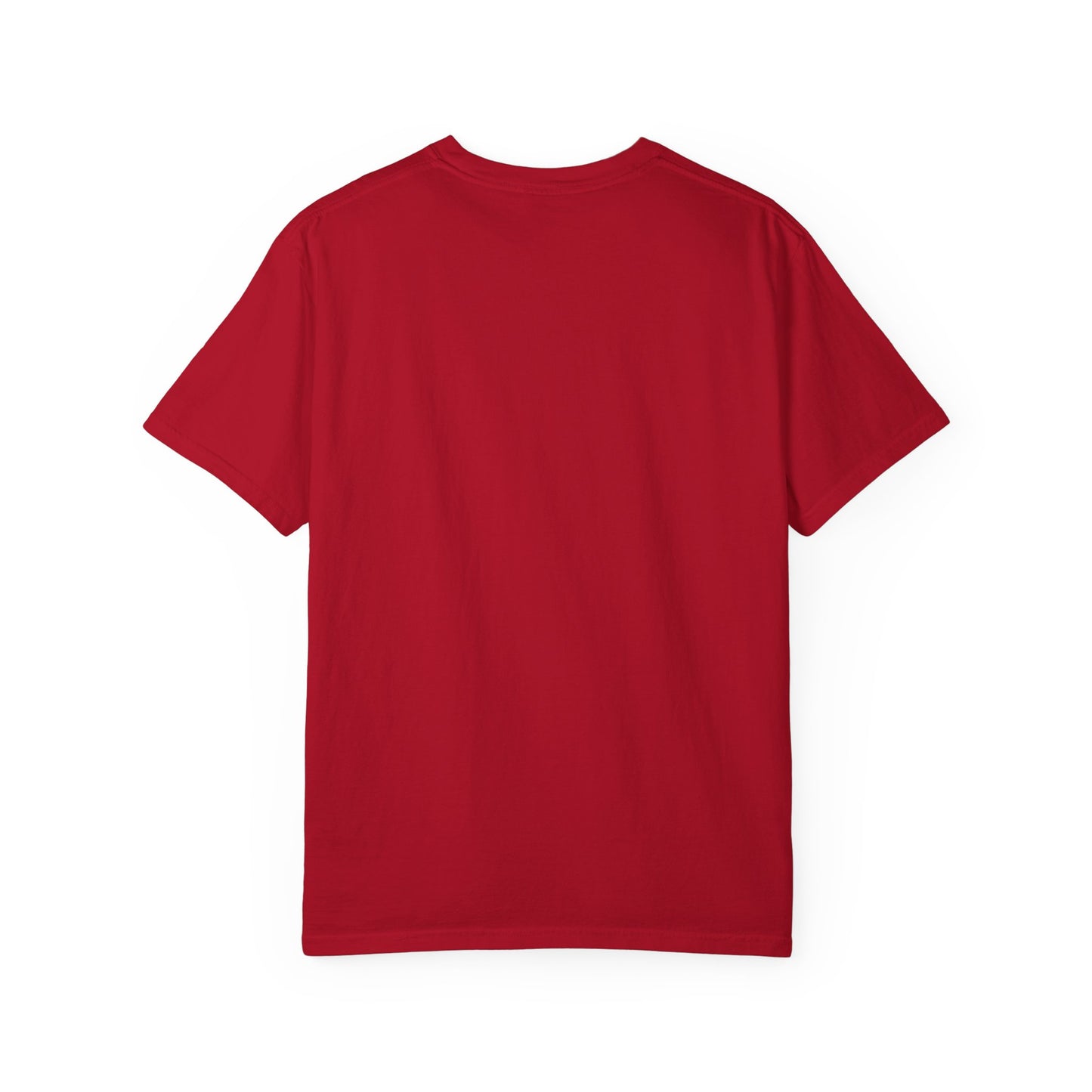 Vintage-Inspired Unisex Garment-Dyed T-shirt, Casual Wear, Earth Day Gift, Graphic Tee, Everyday Style, Eco-Friendly Apparel